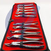 10Pcs Dental Tooth Extraction Forceps Set