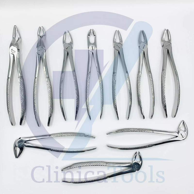 10Pcs Dental Tooth Extraction Forceps Set