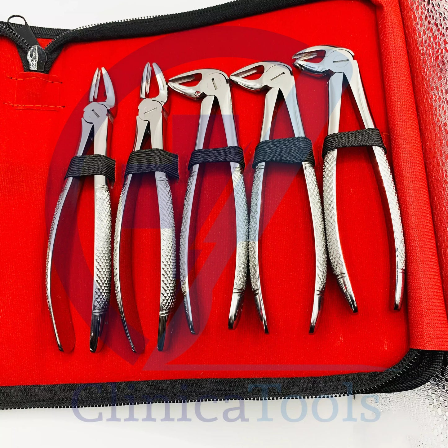 10Pcs Dental Tooth Extraction Forceps Set – Premium Stainless Steel Oral Surgery Instruments for Adult Teeth Removal | Professional Dental Extraction Tools for Dentists & Clinics